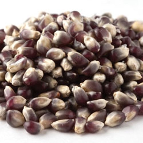 Blue Popcorn - 2 Lbs