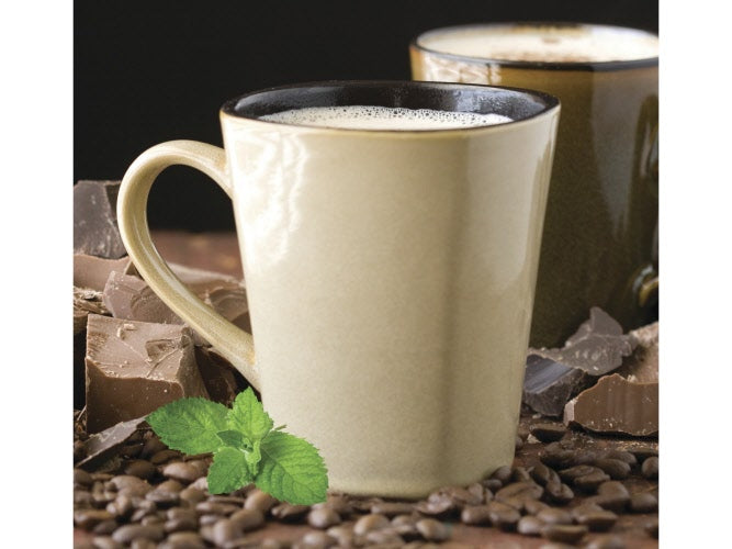 Chocolate Mint Cappuccino / Latte Mix - 2 Lbs
