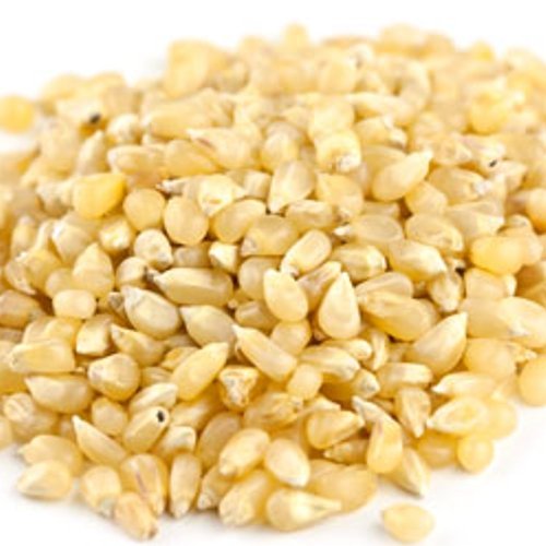 Lady Finger Popcorn, Amish Country Hull - Less Popcorn - 2 LB