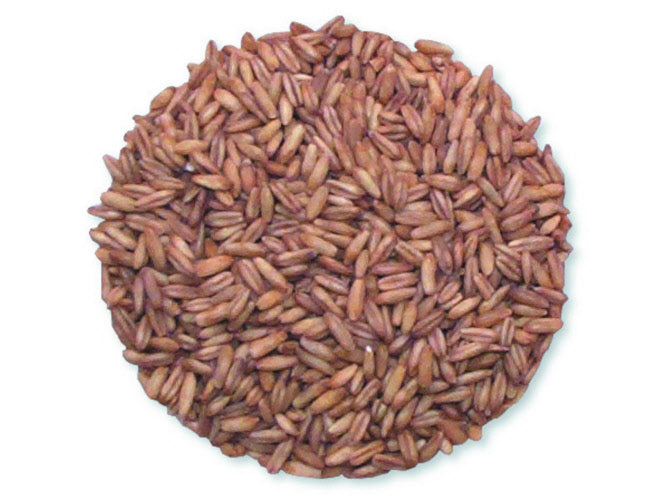 Whole Oat Groats, 2 Lbs