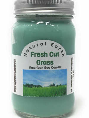 Fresh Cut Grass 16 oz. Soy Candle