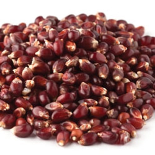 Red Popcorn - 2 LB